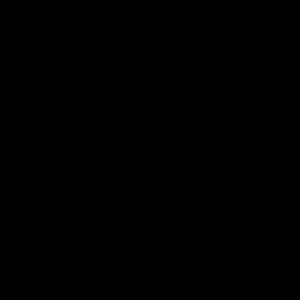 Meet your Posher, Jocelynn